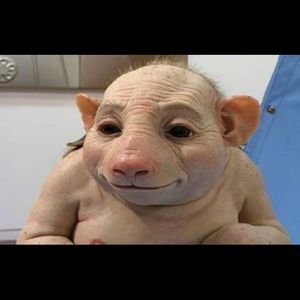 Meet your Posher, Emma